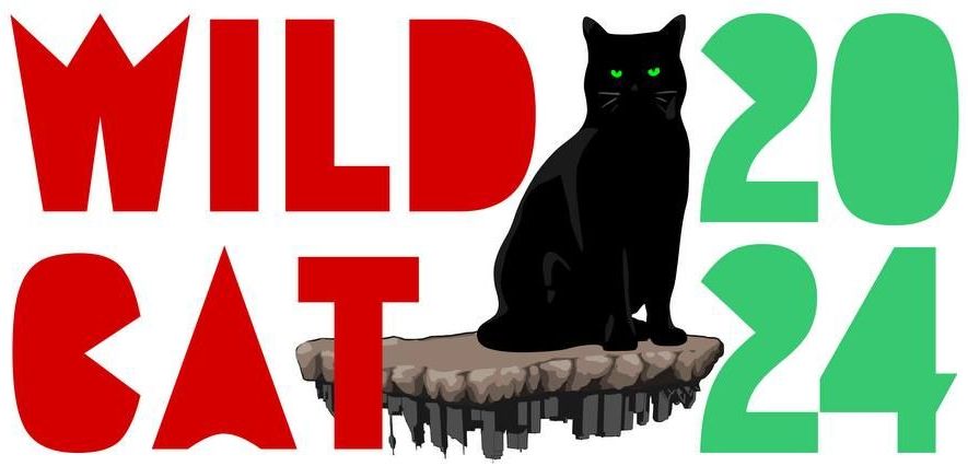 Wildcat Anarchist Fair